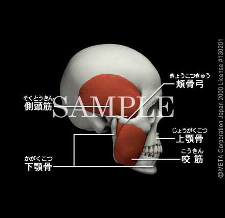 𚐋؁i]j 摜