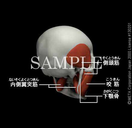 𚐋؁i]j 摜