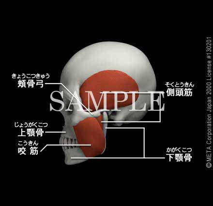 𚐋؁i]j 摜