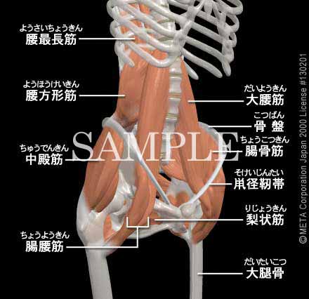 Eт̋؁i]j 摜