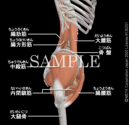 Eт̋؁i]j 摜