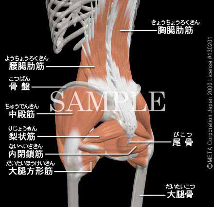 Eт̋؁i]j 摜