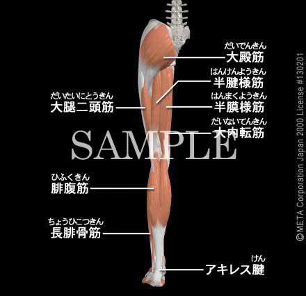 ̋؁i]j 摜