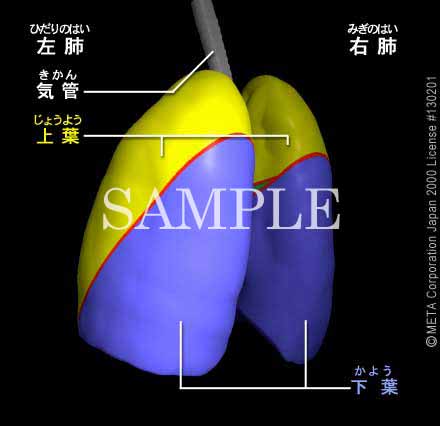 xti6/8j摜