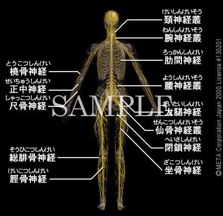 Sg̐_oi5/8j 摜