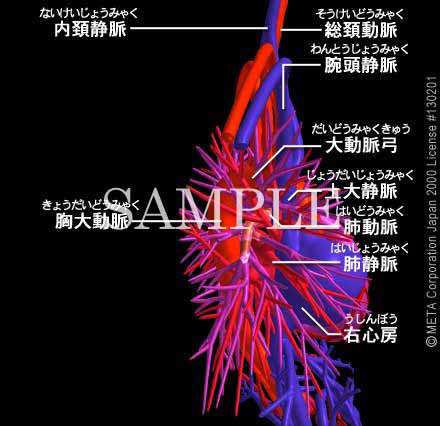 SƔxǁi3/8j 摜