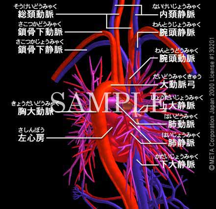 SƔxǁi4/8j 摜