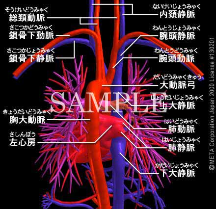 SƔxǁi5/8j 摜