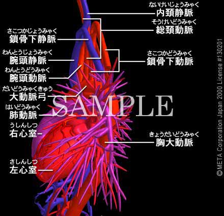 SƔxǁi7/8j 摜