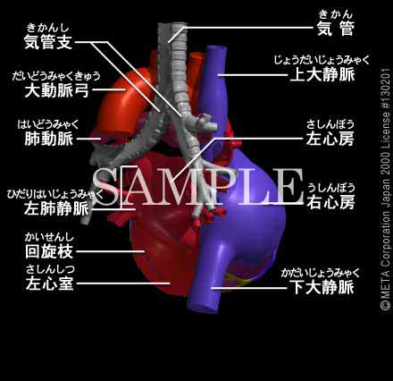 SƊi4/8j 摜