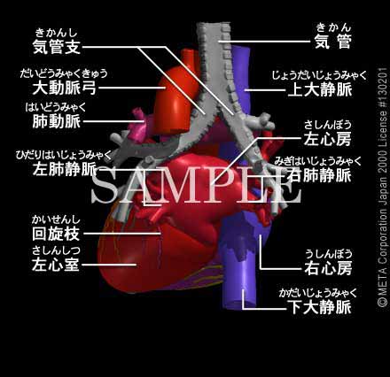 SƊi5/8j 摜