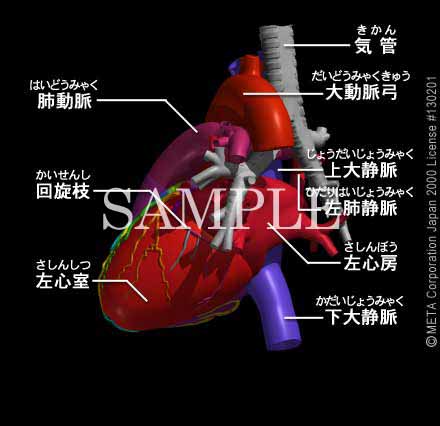 SƊi6/8j 摜