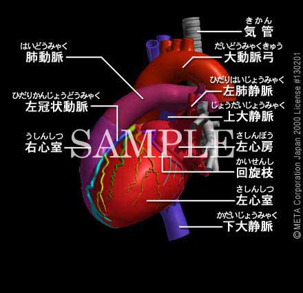 SƊi7/8j 摜